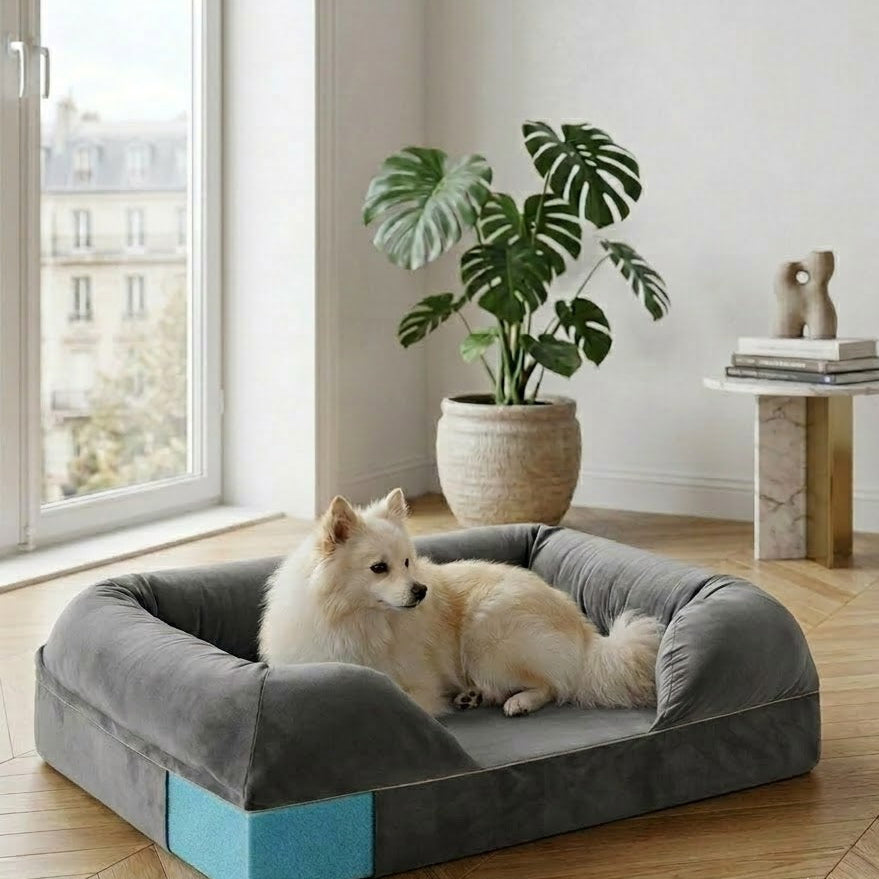 Cuccia Ortopedica in Memory Foam — Taglia Piccola