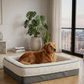 Cuccia Ortopedica in Memory Foam — Taglia Grande